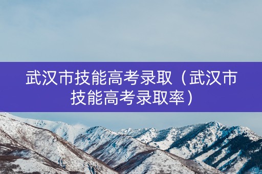 武汉市技能高考录取（武汉市技能高考录取率）