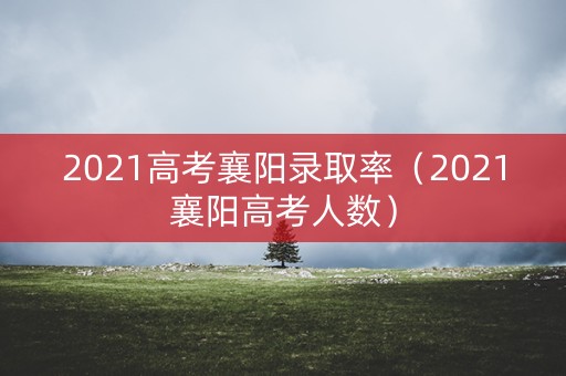 2021高考襄阳录取率（2021襄阳高考人数）