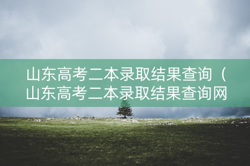 山东高考二本录取结果查询(山东高考二本录取结果查询网站) 山东高考二本录取结果查询(山东高考二本录取结果查询网站)