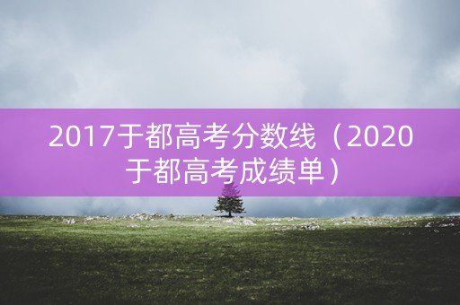 2017于都高考分数线（2020于都高考成绩单）