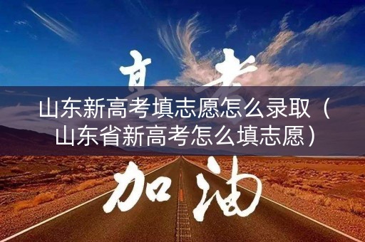 山东新高考填志愿怎么录取（山东省新高考怎么填志愿）
