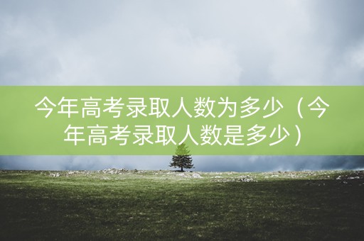 今年高考录取人数为多少（今年高考录取人数是多少）