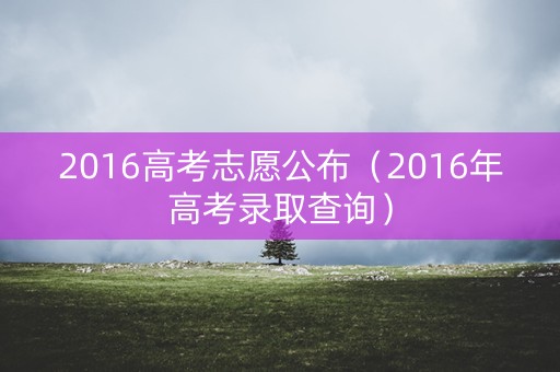 2016高考志愿公布（2016年高考录取查询）