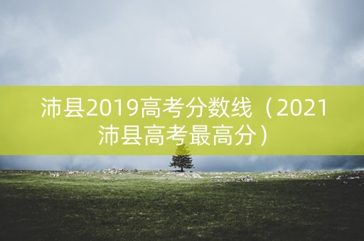 沛县2019高考分数线（2021沛县高考最高分）