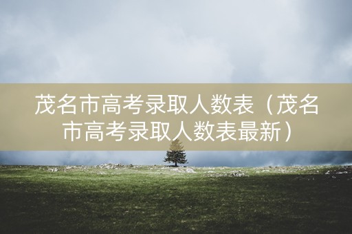 茂名市高考录取人数表（茂名市高考录取人数表最新）