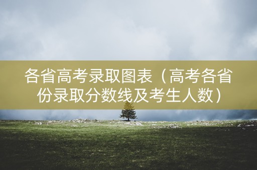 各省高考录取图表（高考各省份录取分数线及考生人数）