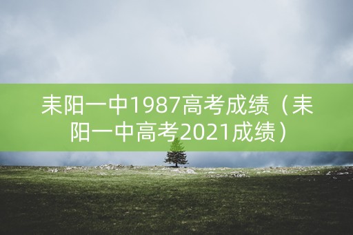 耒阳一中1987高考成绩（耒阳一中高考2021成绩）