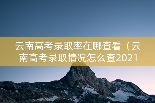 云南高考录取率在哪查看（云南高考录取情况怎么查2021）