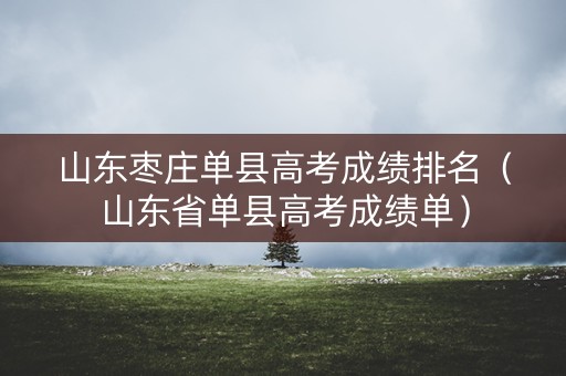 山东枣庄单县高考成绩排名（山东省单县高考成绩单）