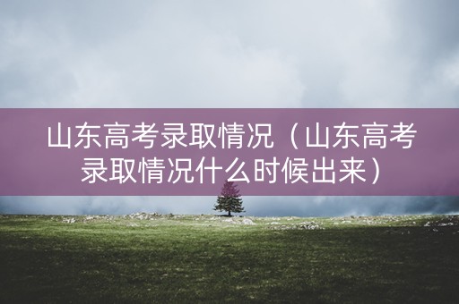 山东高考录取情况（山东高考录取情况什么时候出来）