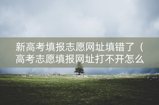 新高考填报志愿网址填错了（高考志愿填报网址打不开怎么办）