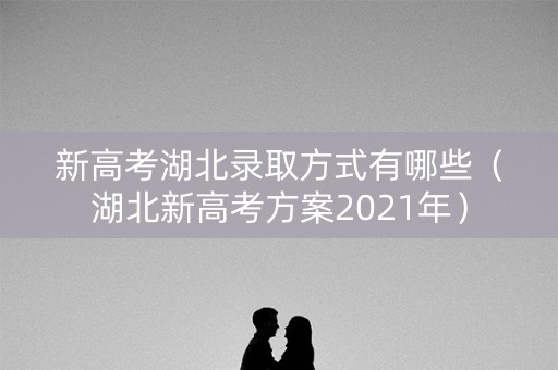 新高考湖北录取方式有哪些(湖北新高考方案2021年) 新高考湖北录取方式有哪些(湖北新高考方案2021年)