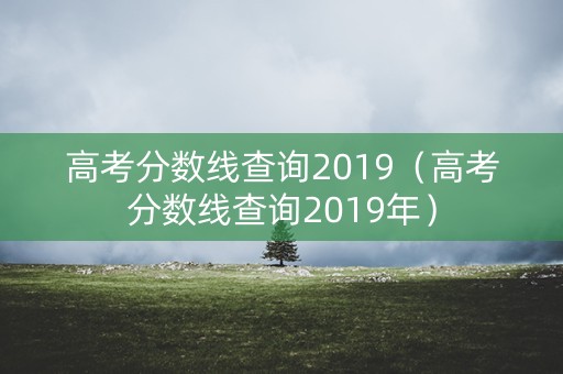 高考分数线查询2019（高考分数线查询2019年）
