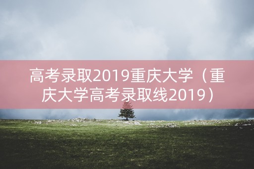 高考录取2019重庆大学（重庆大学高考录取线2019）