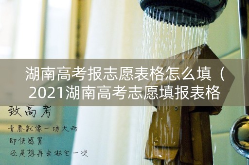 湖南高考报志愿表格怎么填(2021湖南高考志愿填报表格) 湖南高考报志愿表格怎么填(2021湖南高考志愿填报表格)