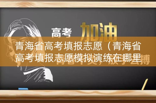 青海省高考填报志愿（青海省高考填报志愿模拟演练在哪里弄）