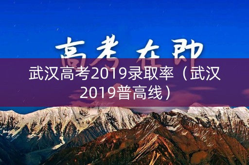 武汉高考2019录取率（武汉2019普高线）