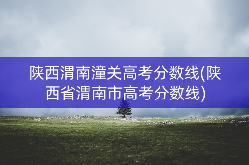 陕西渭南潼关高考分数线(陕西省渭南市高考分数线)