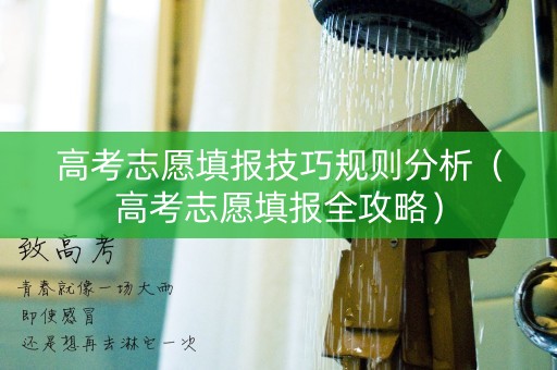 高考志愿填报技巧规则分析（高考志愿填报全攻略）