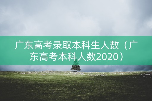 广东高考录取本科生人数（广东高考本科人数2020）