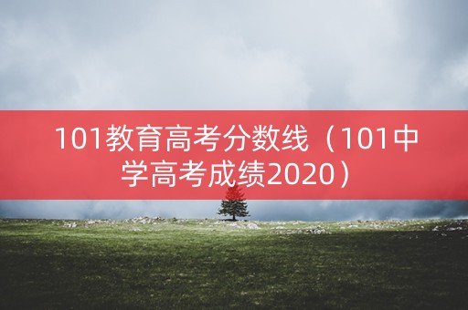 101教育高考分数线（101中学高考成绩2020）