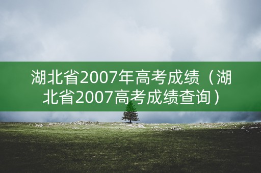 湖北省2007年高考成绩（湖北省2007高考成绩查询）