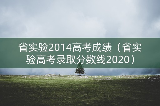 省实验2014高考成绩（省实验高考录取分数线2020）