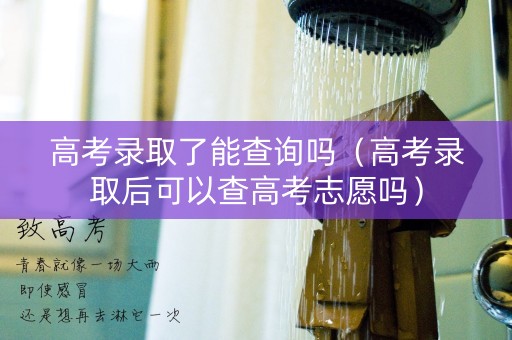 高考录取了能查询吗（高考录取后可以查高考志愿吗）