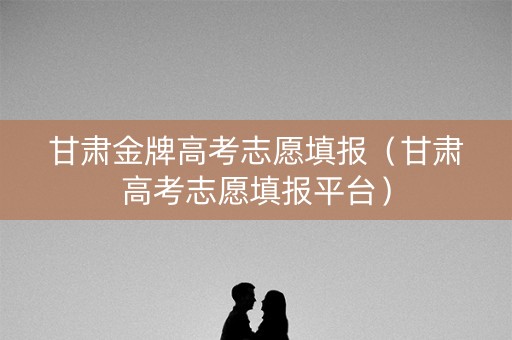 甘肃金牌高考志愿填报（甘肃高考志愿填报平台）