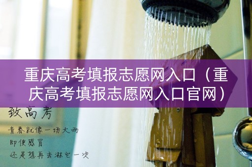 重庆高考填报志愿网入口（重庆高考填报志愿网入口官网）