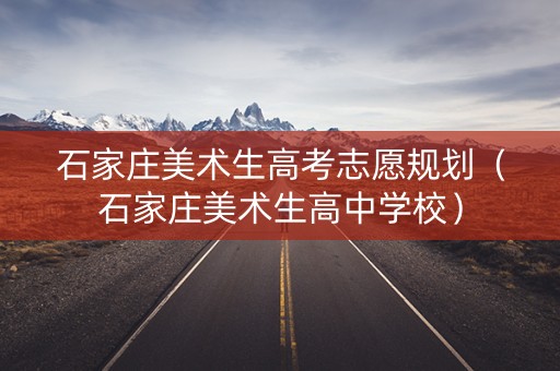 石家庄美术生高考志愿规划（石家庄美术生高中学校）