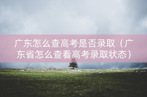 广东怎么查高考是否录取（广东省怎么查看高考录取状态）