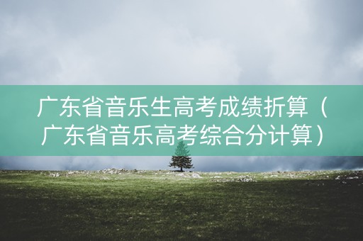 广东省音乐生高考成绩折算（广东省音乐高考综合分计算）