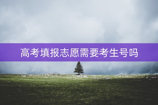 高考填报志愿需要考生号吗 高考填报志愿需要考生号吗