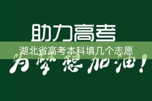 湖北省高考本科填几个志愿