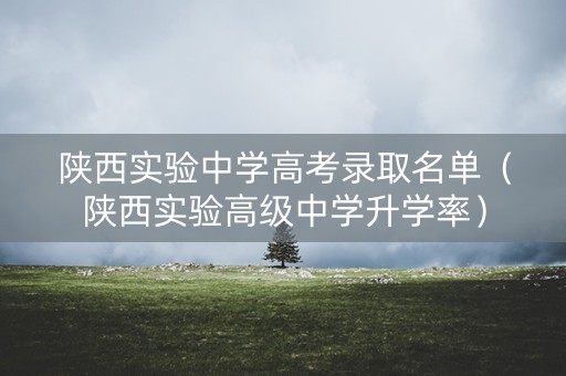 陕西实验中学高考录取名单（陕西实验高级中学升学率）