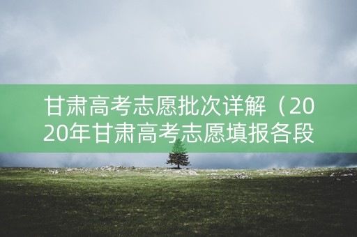 甘肃高考志愿批次详解（2020年甘肃高考志愿填报各段详解）