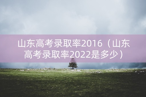 山东高考录取率2016（山东高考录取率2022是多少）