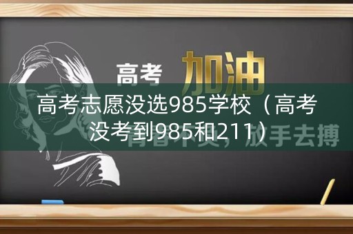 高考志愿没选985学校(高考没考到985和211) 高考志愿没选985学校(高考没考到985和211)