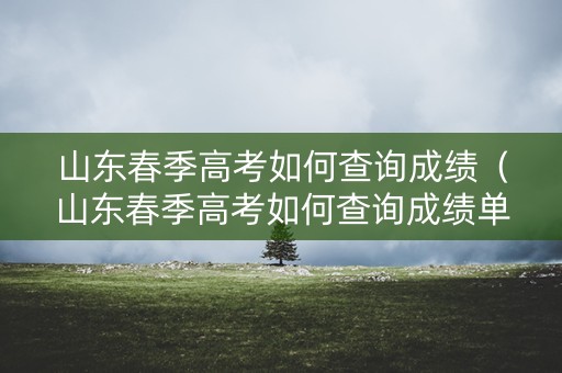 山东春季高考如何查询成绩(山东春季高考如何查询成绩单) 山东春季高考如何查询成绩(山东春季高考如何查询成绩单)