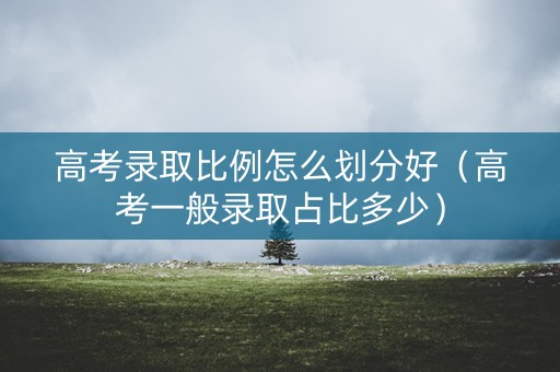 高考录取比例怎么划分好（高考一般录取占比多少）