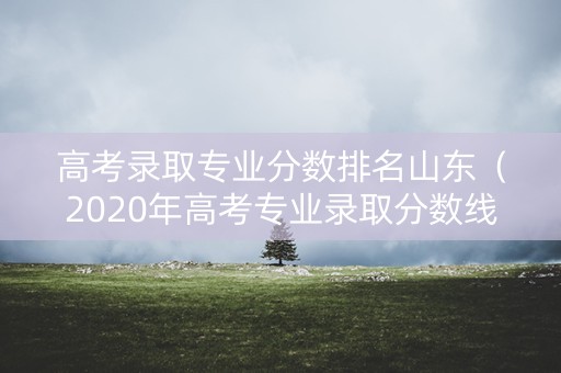 高考录取专业分数排名山东（2020年高考专业录取分数线是多少山东）