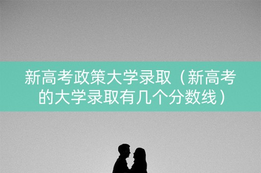 新高考政策大学录取（新高考的大学录取有几个分数线）