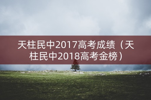 天柱民中2017高考成绩（天柱民中2018高考金榜）