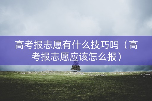 高考报志愿有什么技巧吗(高考报志愿应该怎么报) 高考报志愿有什么技巧吗(高考报志愿应该怎么报)
