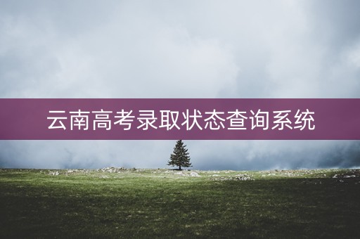云南高考录取状态查询系统 云南高考录取状态查询系统