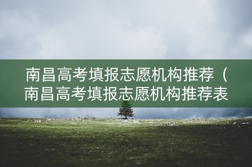 南昌高考填报志愿机构推荐（南昌高考填报志愿机构推荐表）