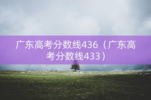 广东高考分数线436（广东高考分数线433）