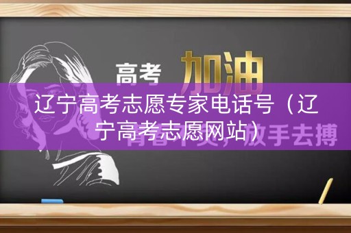 辽宁高考志愿专家电话号（辽宁高考志愿网站）