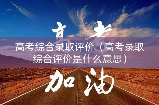 高考综合录取评价（高考录取综合评价是什么意思）
